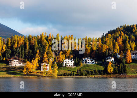 L'Europe, Suisse, Grisons, Engadine, l'automne au bord du lac de Saint-Moritz Banque D'Images