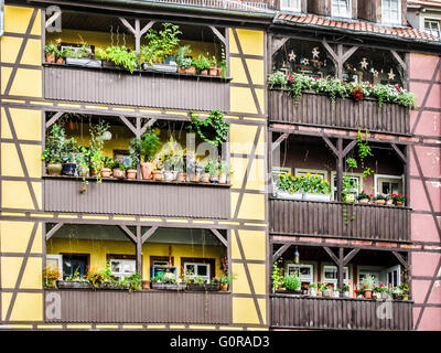 D'un balcon avec des plantes, détail de vieilles maisons du pont des marchands à Erfurt, Thuringe, Allemagne Banque D'Images