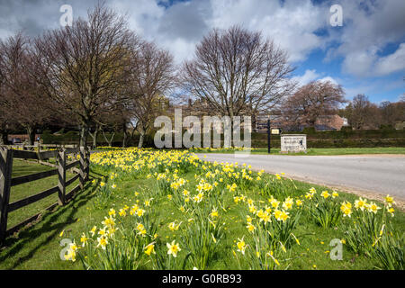 L'hôtel Macdonald Gisborough Hall, au printemps, Guisborough, Cleveland Banque D'Images