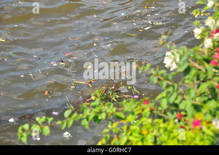 Les déchets plastiques flotter sur une rivière à l'origine de la pollution dans une rivière à Bangkok, Thaïlande. Banque D'Images