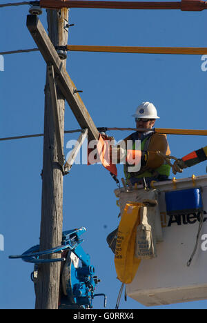 Emporia, Kansas, États-Unis 27 Mars, 2014 membres d'équipage de l'énergie 'Westar' entreprise travaillent pour le remplacement d'un poteau électrique en bois qui a été endommagée au cours de la semaine dernière par un camion de taille moyenne et d'aujourd'hui des vents forts 12.2005 le pôle. Provoquant une brève période de coupure de courant dans le domaine de la 12e et des rues commerciales. Westar est la plus grande compagnie d'électricité dans le Kansas, au service de 690 000 clients résidentiels, commerciaux et industriels dans le tiers oriental de l'état. Westar Energy génère plus de 27 000 000 mégawatts-heures d'électricité par année. Credit : Mark Reinstein Banque D'Images