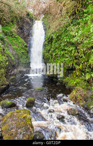 Cranny Falls, près de Carnlough, Antrim, en Irlande du Nord Banque D'Images