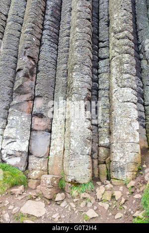 Les tuyaux d'orgue. Les colonnes de basalte dans la falaise, près de la Chaussée des Géants, en Irlande du Nord. Banque D'Images