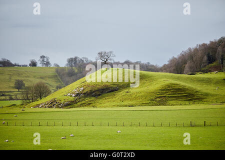 Whalley un grand village de la vallée de Ribble, sur les rives de la rivière Calder dans le Lancashire. Les pâturages de la ferme dans l'affaire Calder Vally Banque D'Images