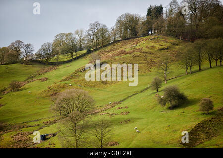 Whalley un grand village de la vallée de Ribble, sur les rives de la rivière Calder dans le Lancashire. Les pâturages de la ferme dans l'affaire Calder Vally Banque D'Images