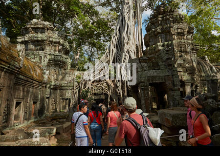 Les touristes à Ta Prohm temple ruins (12ème siècle), site du patrimoine mondial d'Angkor, Siem Reap, Cambodge Banque D'Images