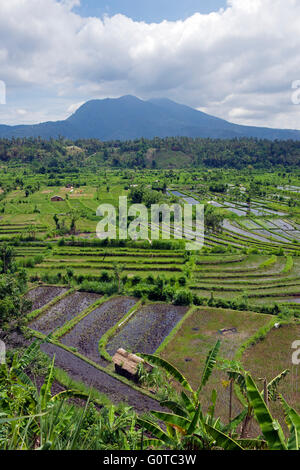Paysage rural avec rizières et Mont Seraya Abang Bali Indonésie Banque D'Images