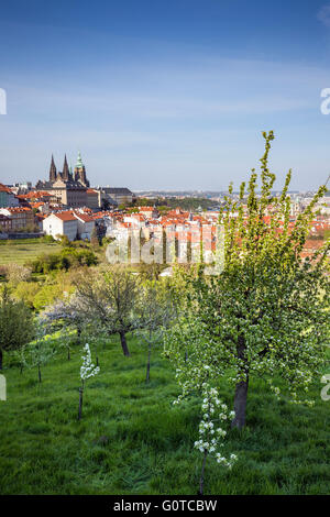 La vue sur le château de Prague à partir de la colline de Petrin, Prague, République Tchèque Banque D'Images