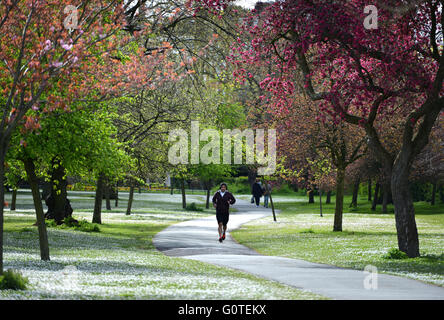 Le printemps à Regents Park , London Banque D'Images