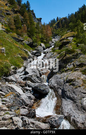 Haute montagne ruisseau coule entre les roches des Alpes italiennes Banque D'Images