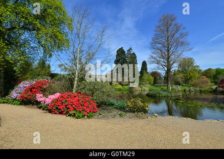 Un jardin de campagne anglaise à la fin de printemps. Banque D'Images