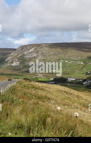 Campagne irlandaise avec ciel bleu et les champs de Mayo, Irlande Banque D'Images