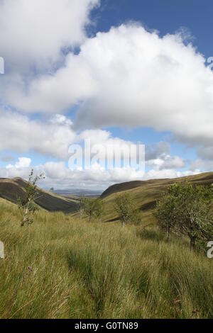 Le Glengesh Pass sur le R230 au sud de Ardara, comté de Donegal, en République d'Irlande Banque D'Images