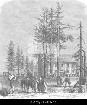 WASHINGTON : Puget Sound & North Railway, antique print 1880 Banque D'Images