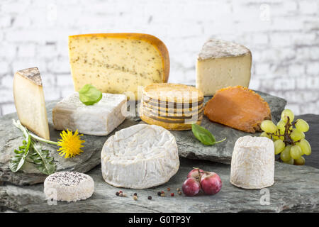 Assortiment de fromages dans diverses formes et tailles Banque D'Images