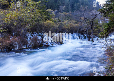 Stream à Jiuzhaigou national park, dans la province du Sichuan, Chine. Banque D'Images