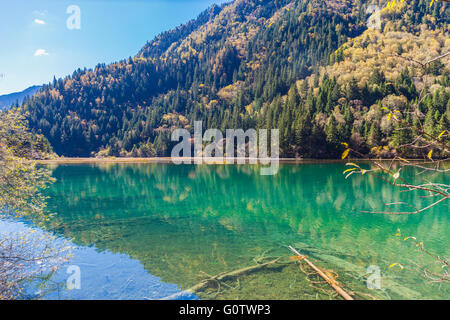 Coloeful vue sur étang et forêt dans le parc national de Jiuzhaigou, province du Sichuan, Chine Banque D'Images