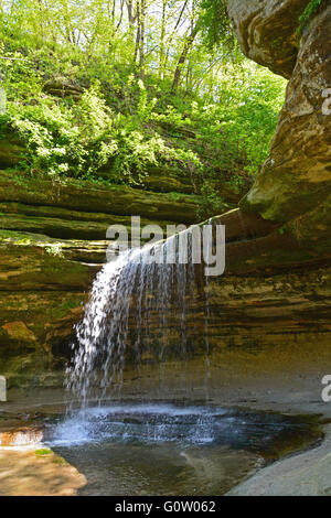 La chute de la falaise de grès de La Salle Canyon dans Starved Rock State Park sur les rives de la rivière Illinois. Banque D'Images