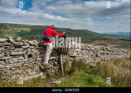 Traversée d'un mur de pierres sèches par gated stile à Cotter Xt Alderney End près de Banque D'Images