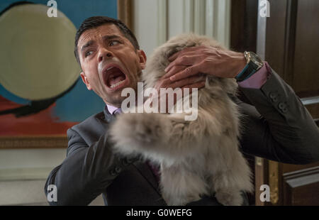 DATE DE SORTIE : 5 août 2016 TITRE : 9 vies STUDIO : EuropaCorp Réalisateur : Barry Sonnenfeld Résumé : Un homme d'affaires guindé se retrouve coincé dans le corps de sa famille's cat Photo : Mark Consuelos (Crédit : c EuropaCorp/images/) Banque D'Images