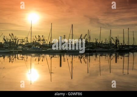 Newlyn, Cornwall, UK. 5e mai 2016. Météo britannique. Temps chaud devant se poursuivre, à Cornwall, avec un autre bon de commencer la journée. Crédit : Simon Maycock/Alamy Live News Banque D'Images