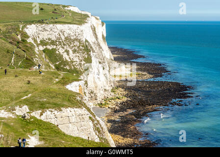 White Cliffs of Dover sur une belle journée ensoleillée. Banque D'Images