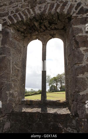 Creevelea Abbaye, couvent franciscain, Co Leitrim Irlande mégalithique Banque D'Images