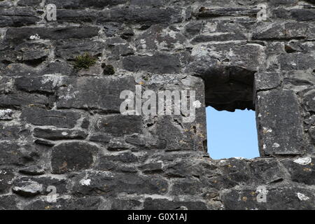 Creevelea Abbaye, couvent franciscain, Co Leitrim Irlande mégalithique Banque D'Images