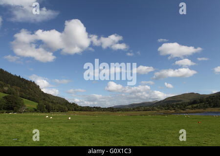 La Vallée de Glencar, County Leitrim, Connacht, Irlande, Europe Banque D'Images