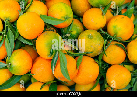 Les oranges fraîches À VENDRE DANS UN MARCHÉ À MAJORQUE ESPAGNE Banque D'Images