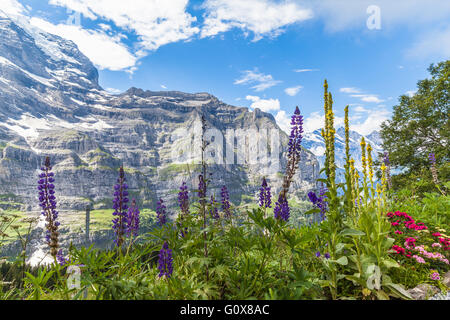 Près de la gare de Wengernalp en Suisse, point de départ de l'Eigertrail randonnées, vue sur les alpes Banque D'Images