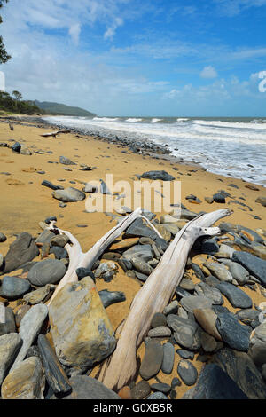 Le Driftwood Beach, Captain Cook Highway, Queensland, Australie Banque D'Images