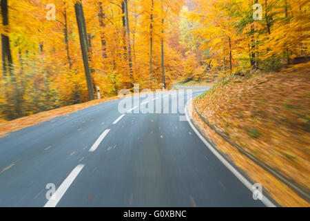 Vue de la route d'une route touristique en forêt d'automne, Spessart, Franconia, Bavaria, Germany Banque D'Images