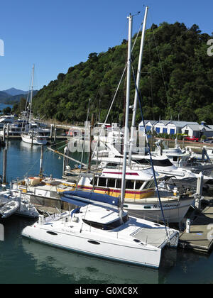 L'estran et port de Picton, île du Sud, Nouvelle-Zélande Banque D'Images