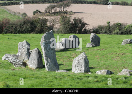 Ballynoe Stone Circle près de Downpatrick dans le comté de Down. Banque D'Images