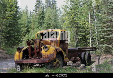 Un vieux camion dans la forêt. Banque D'Images