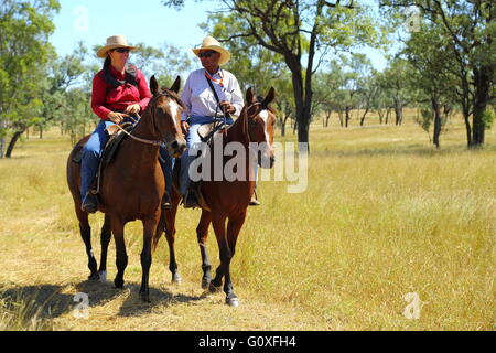 Une femme dans la trentaine et un moyen de les monter leurs chevaux à travers un enclos qu'ils rassembler le bétail près de Eidsvold. Banque D'Images