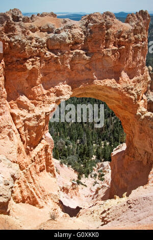 Bryce Canyon Utah USA Banque D'Images