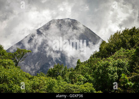 Le pic de l'idéal et les jeunes actif volcan Izalco vu à partir d'un point de vue dans le Parc National de Cerro Verde en El Salvador, Banque D'Images