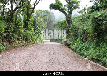 Chemin à travers le village de Apaneca, Ruta de las Flores circuit, El Salvador Banque D'Images