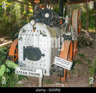 Le Millwood, AFRIQUE DU SUD - 4 mars 2016 : un moteur à vapeur portable lors de l'historique de la mine d'or à l'église de Bendigo Millwood. Banque D'Images