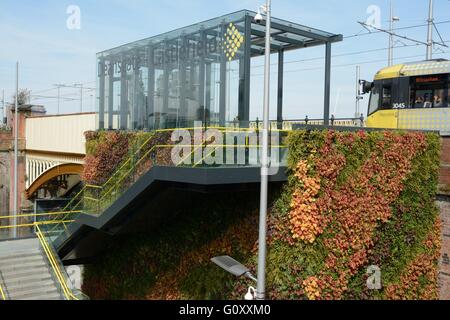 L'arrêt de tramway Castlefield Deansgate Manchester. Le mur dans l'escalier d'accès ont été plantés créant un mur vivant. Banque D'Images