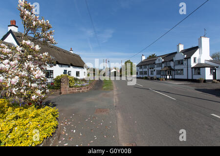 Village de Handley, Angleterre. Vue pittoresque de printemps Handley : l'artère principale. Banque D'Images