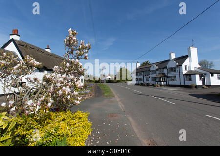 Village de Handley, Angleterre. Vue pittoresque de printemps Handley : l'artère principale. Banque D'Images