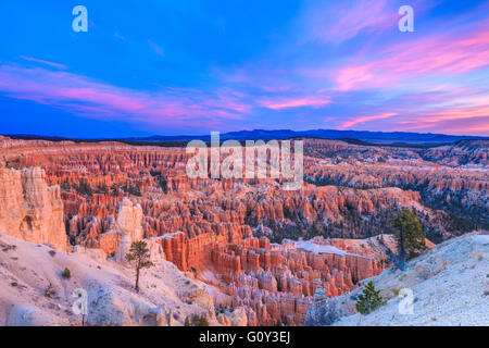 Le lever du soleil sur les cheminées de vue de trail ci-dessous bryce point dans le parc national de Bryce Canyon, Utah Banque D'Images