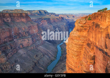 Fleuve colorado rapids chutes de lave au vu de toroweap oublier dans le parc national du Grand Canyon, Arizona Banque D'Images