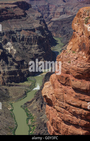 Fleuve colorado rapids chutes de lave au vu de toroweap oublier dans le parc national du Grand Canyon, Arizona Banque D'Images