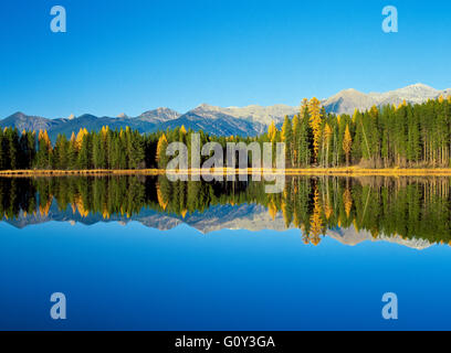 La gamme swan et mélèze de l'automne reflète dans Loon Lake près de condon, Montana Banque D'Images