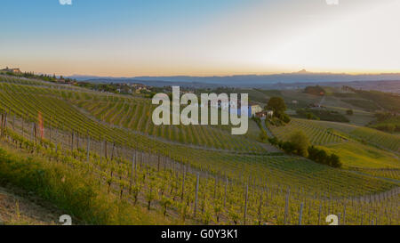 Vue sur la zone de production de vin Barbaresco dans la région Piémont en Italie Banque D'Images