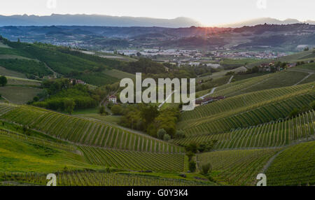 Vue sur la zone de production de vin Barbaresco dans la région Piémont en Italie Banque D'Images